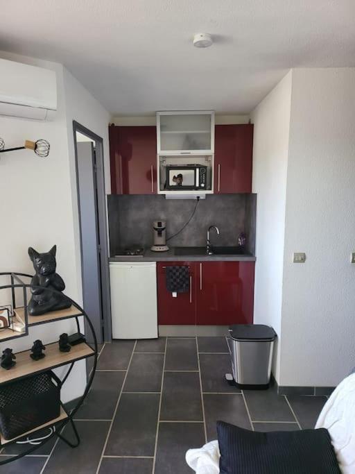 Appartement Location Les Pieds Dans L'Eau à Canet-en-Roussillon Extérieur photo